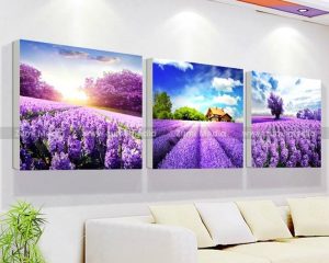 Tranh treo tường vườn hoa lavender (TI073)(LA)
